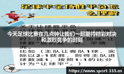333体育官网